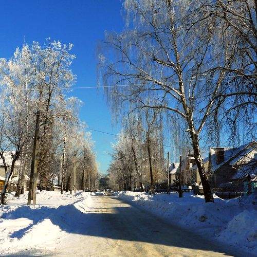 Photo #10145557