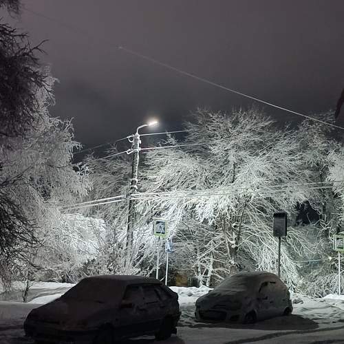 1 декабря