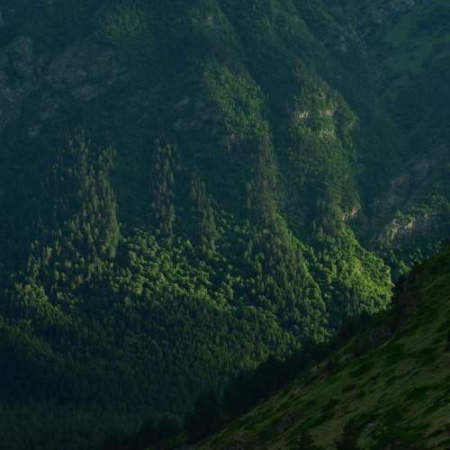 Photo #10146067