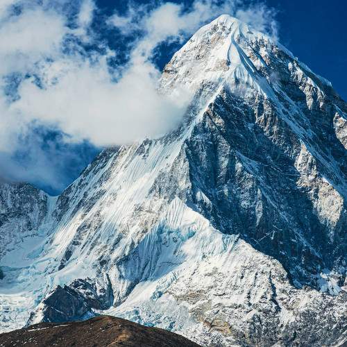 Photo #10146119
