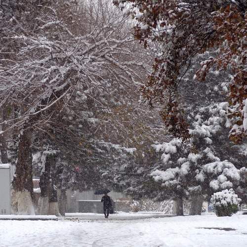 Photo #10146193