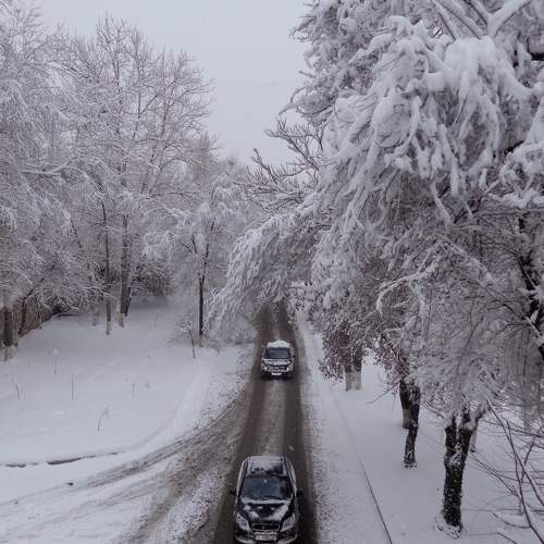 Photo #10146293