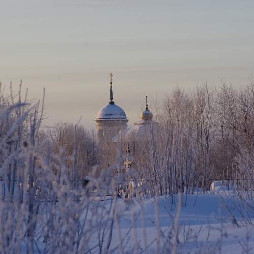 Photo #10146329