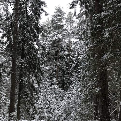 Photo #10146331