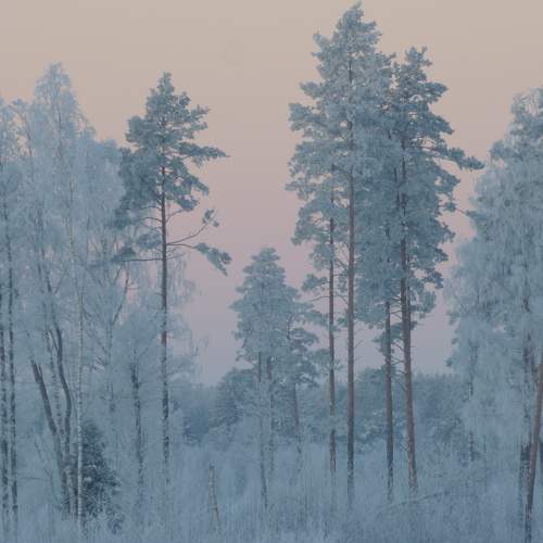 Photo #10146577