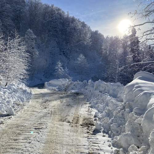 Photo #10146648