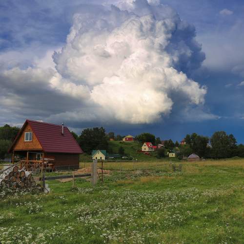 Photo #10146682