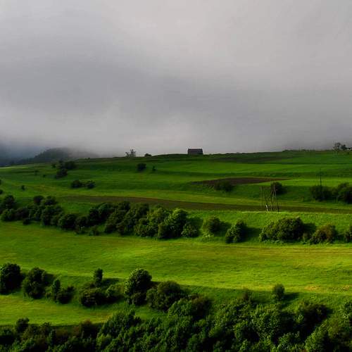 Photo #10146844