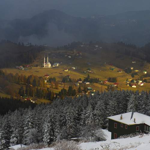 Photo #10147966