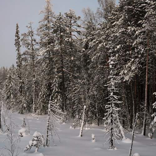 Photo #10148155