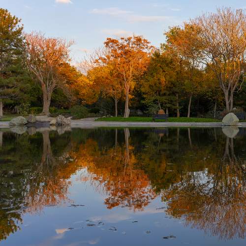 Photo #10148290