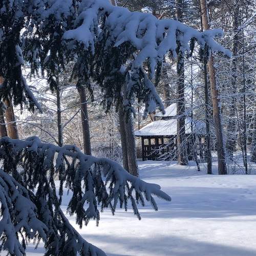 Photo #10148479
