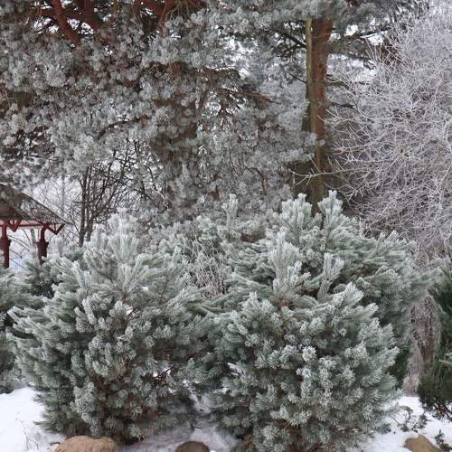 Photo #10148488