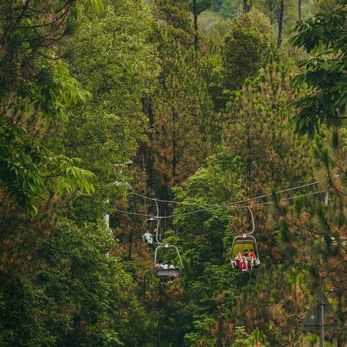 Chair Lift between Pine trees