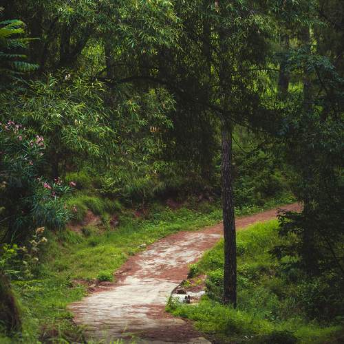 Photo #10149507