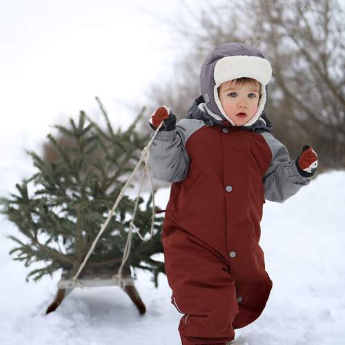 Фотография #10149537