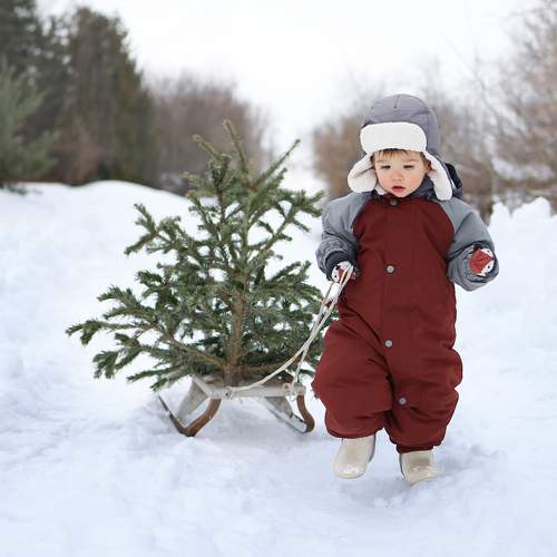 Фотография #10149538