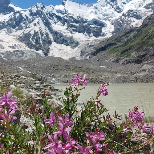 Photo #10149593
