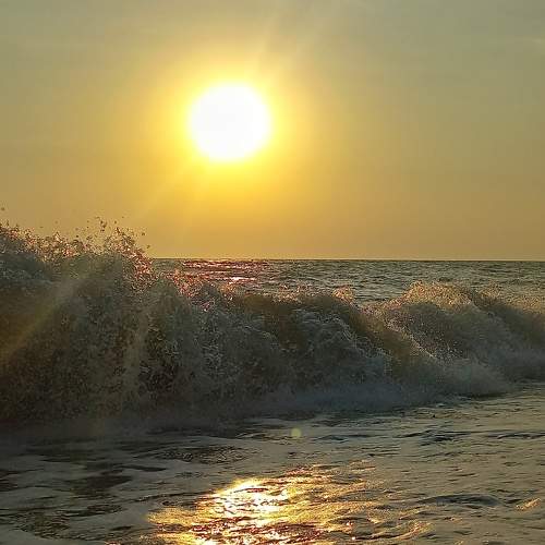 Photo #10149708