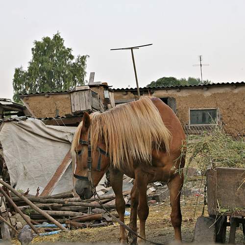 Photo #10149808