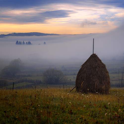 Photo #10149968