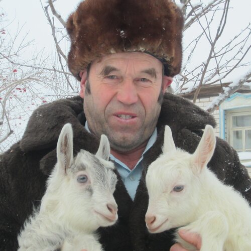 СЕЛЬСКАЯ РАДОСТЬ