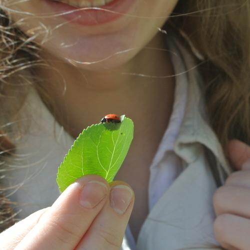 Photo #1018173