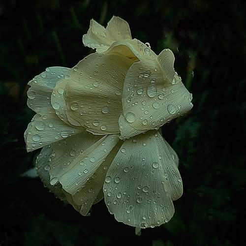 Photo #10150434