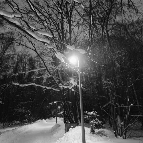 Photo #10150694