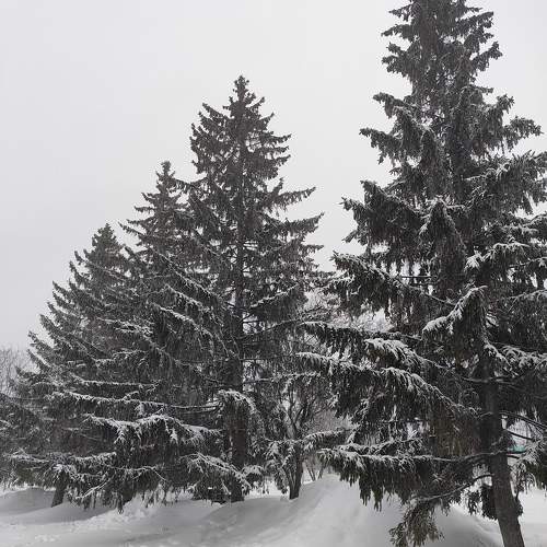 Photo #10150747