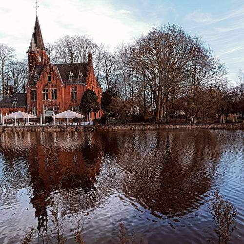 Photo #10150866