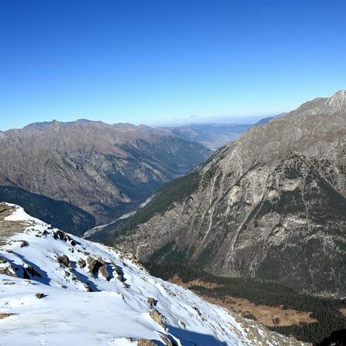 Photo #10150916