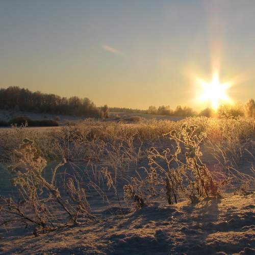 Photo #10150972