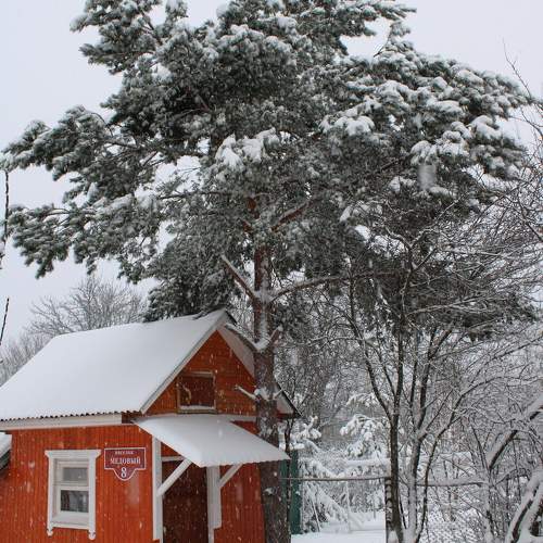 Photo #10151107