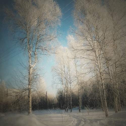 Photo #10151143