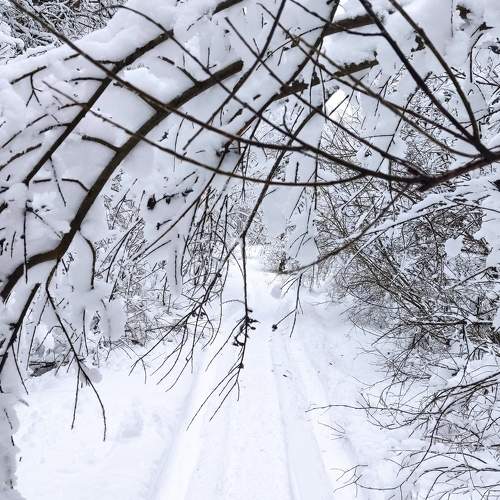 Photo #10151234