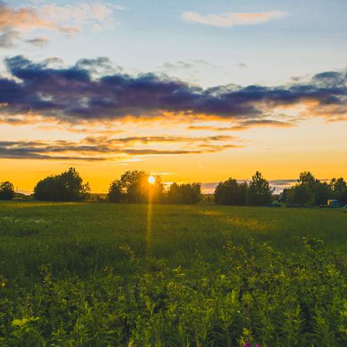 Photo #10151318