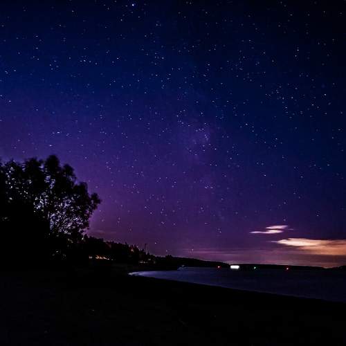 Photo #10151497