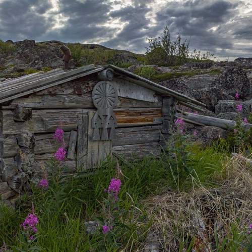 Photo #10151564