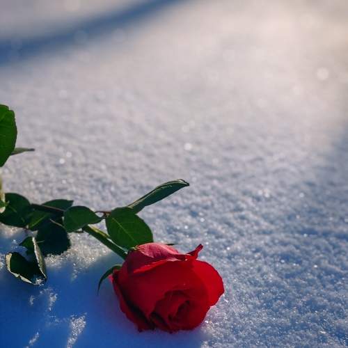 Photo #10151823