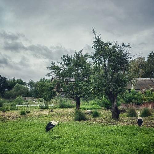 Photo #10151831