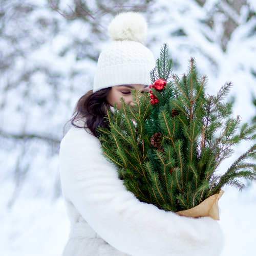 Photo #10152343