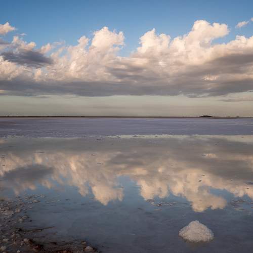 Photo #10152477