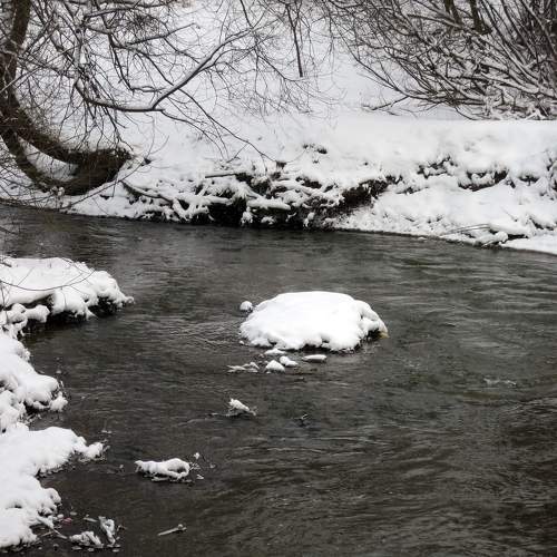 Photo #10152790