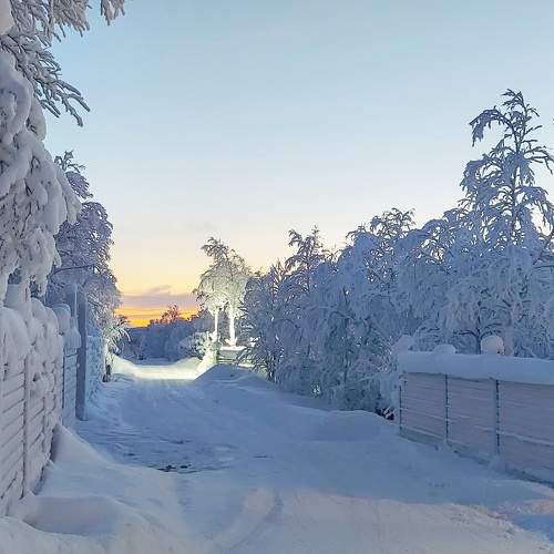 Photo #10152907