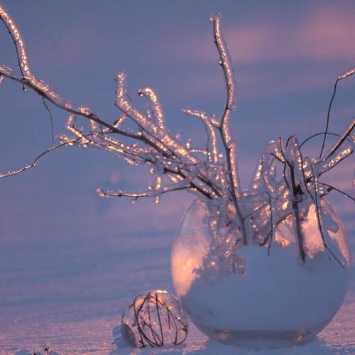 Photo #10152916
