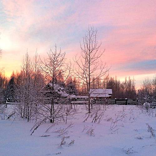 Photo #10152948