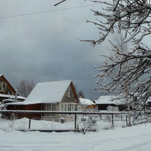 Photo #10153031