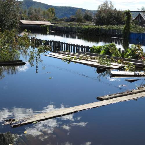 Photo #10153325