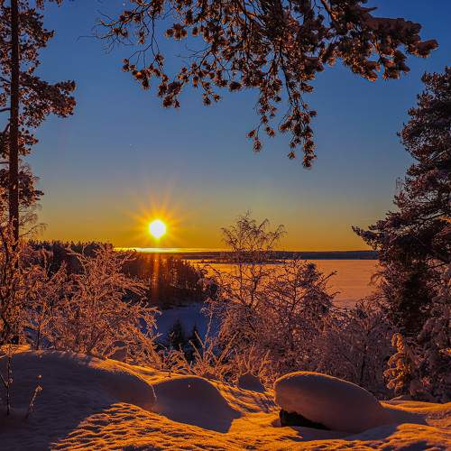 Photo #10154004